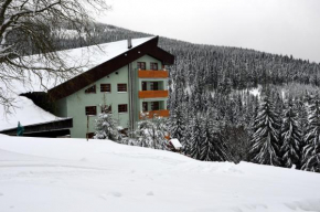 Гостиница Apartmán v Srdci Hor Cihlářka, Печ Под Снежкой